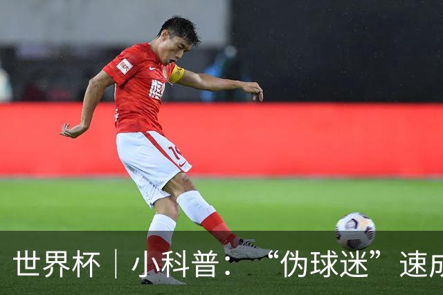 世界杯｜小科普：“伪球迷”速成手册